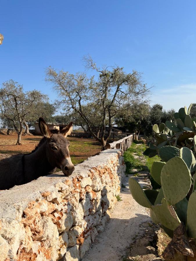 Trulli Dell'Angelo Specchiolla Exterior foto